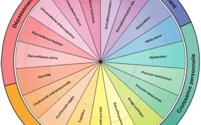 Quelles sont mes valeurs émotionnelles en 2025 ?